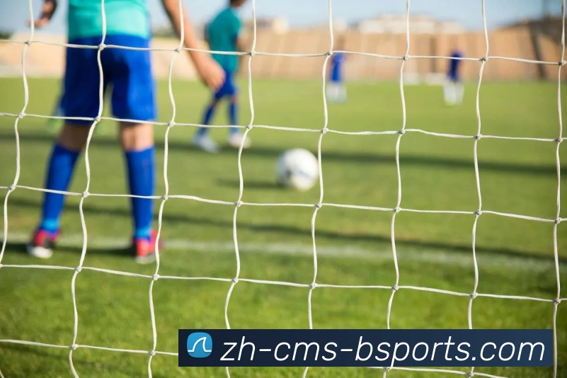 B体育APP 体育赛事宣传图